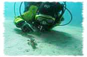 Advanced Open Water Diver