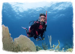 Peak Performance Buoyancy Diver